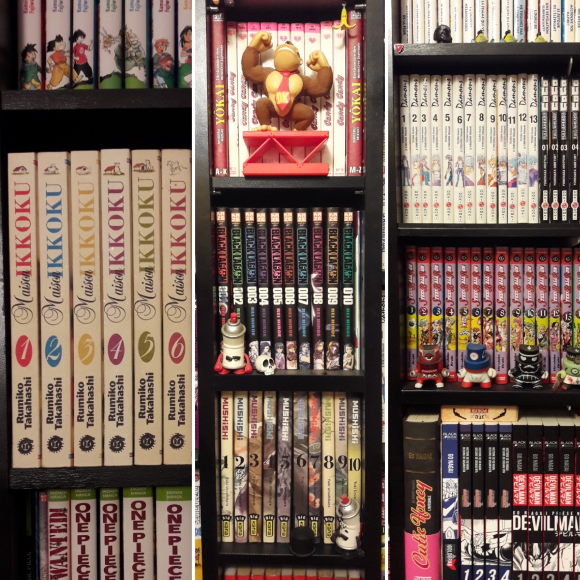 Collection manga (1)